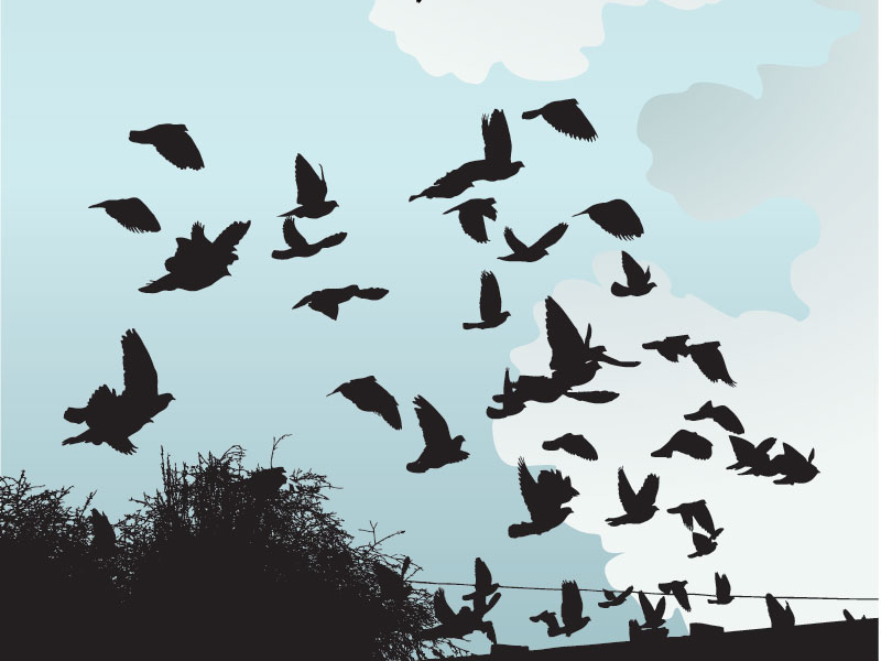 ASC adopts crowdfunding rule