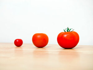 Struggling with ESG analysis? Here are tips