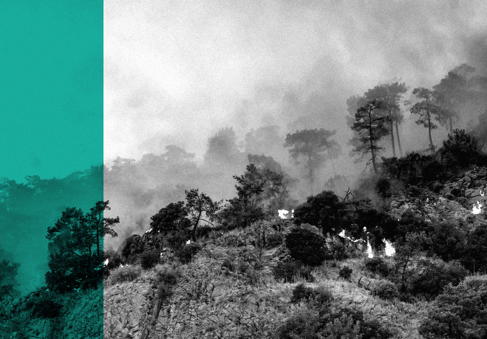 The rising opportunity cost of extreme weather