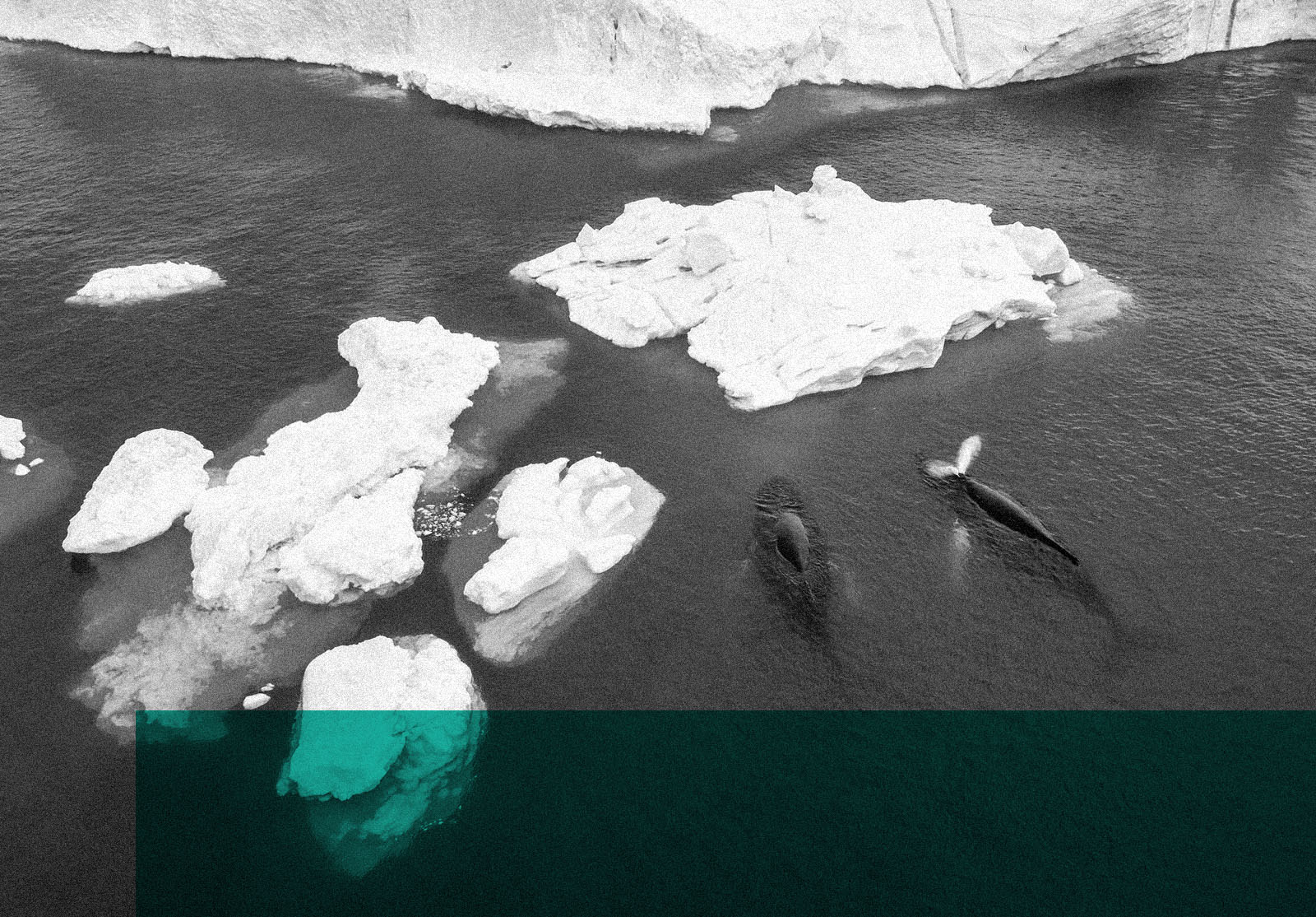 Climate-driven downgrade risks rise