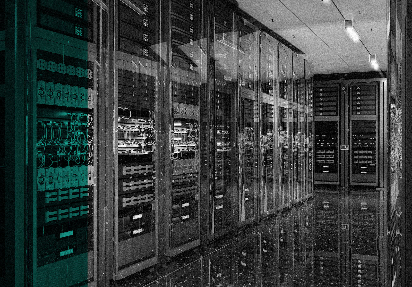 AI boom continues despite market volatility
