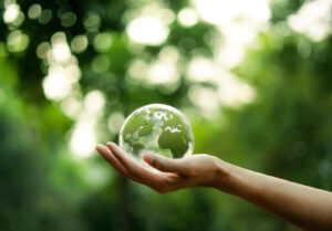 Are ESG ETFs dead? Report shows they’re still attracting investor dollars