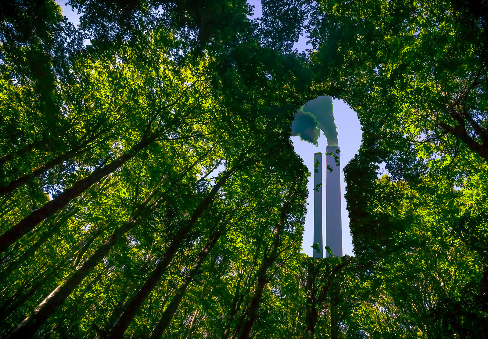 Greenwashing rules to be scaled back, but scope of change remains unclear