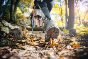Well-being spend eating into essentials budgets: survey