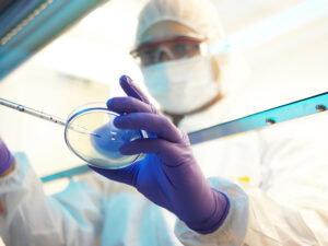 Un chercheur travaille dans un laboratoire