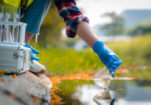 La biodiversité investit le monde financier