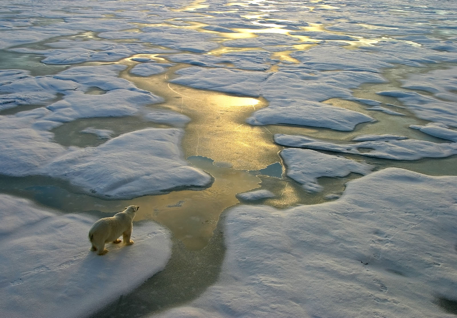 L’AMF publie un outil analysant les risques climatiques