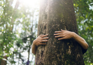 Première divulgation financière nature de Manuvie
