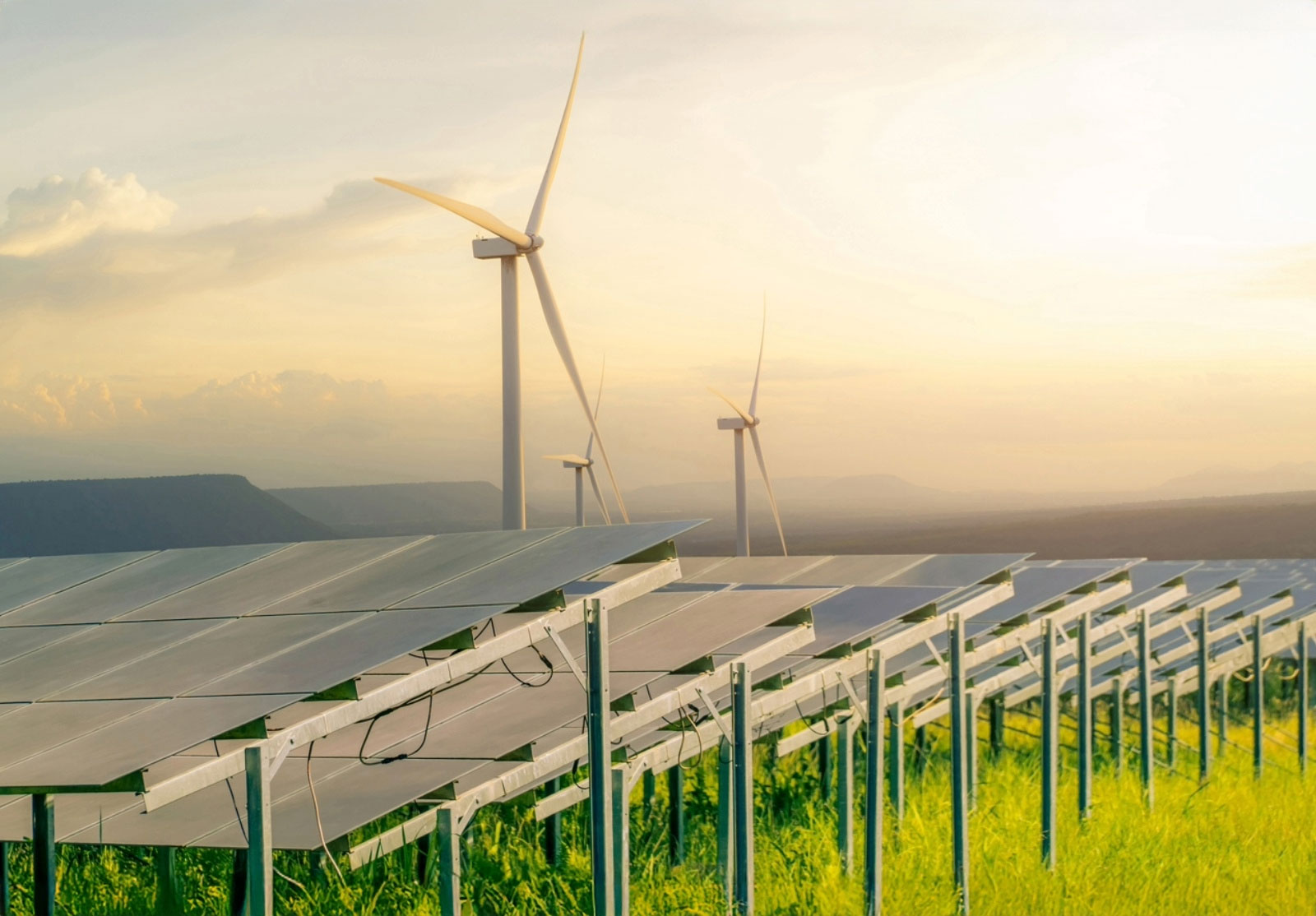 Image d'une ferme de turbines solaires et éoliennes, dans un champ vert, représentant l'énergie et les ressources durables.